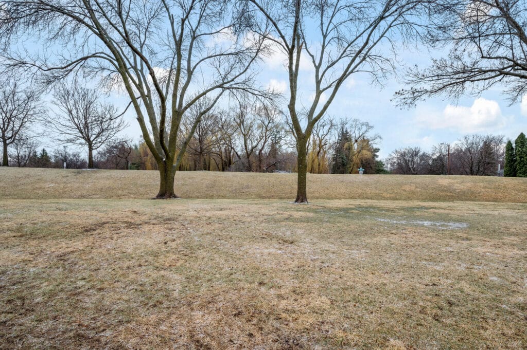 48_6503_Ives_Ln_N48_mls